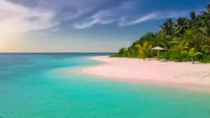 Explore the beauty of nature