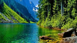 Stunning 1920 x 1080 Nature Desktop