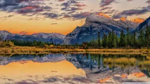 Enjoy The Beauty of Nature on Your Desktop