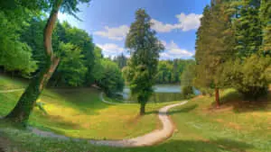 Lush Nature Vibes