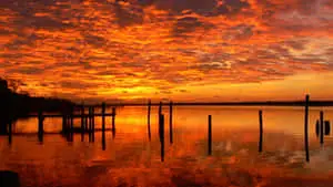 Beautiful Scenery of Nature
