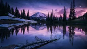 "High Definition Nature Desktop Wallpaper" 