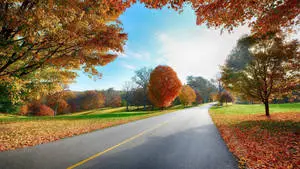  1920x1080 Full HD Nature Empty Road