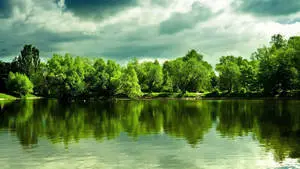 1920x1080 Full HD Nature Green Trees And Gloomy Sky