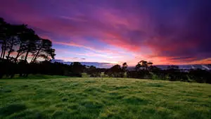 1920x1080 Full HD Nature Purple Sky