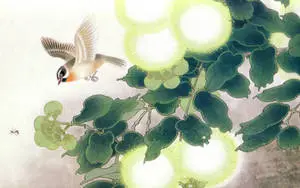 1920x1080 HD Birds Art Painting