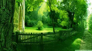 1920x1080 HD Nature Green Spring
