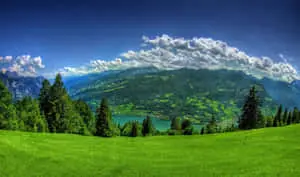 a green field with trees and a lake