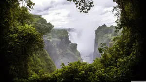 32K Ultra HD Nature Cliffs In Forest
