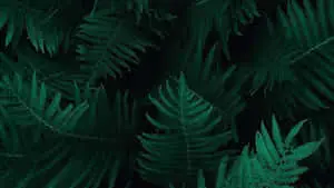 Enjoy The Beauty of Nature