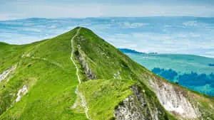 A Stunning Panoramic View of Nature's Sprawling Wilderness