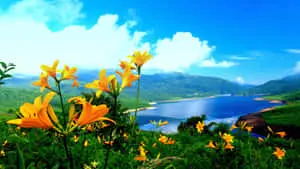 An Overview of Nature's Majestic Beauty