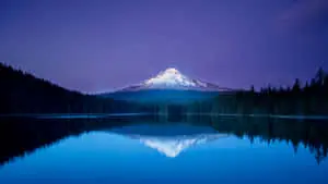 Enjoy Nature's Beauty