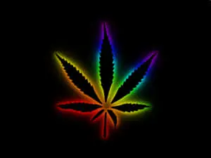 Vibrant Nature's Essence