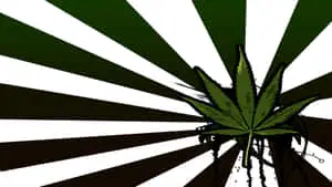 A picturesque view of nature on 420 background