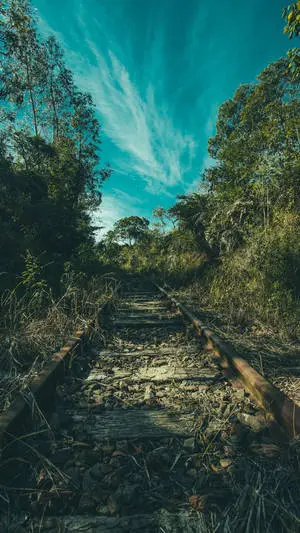4K Android Old Train Rail