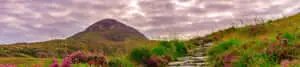 "A View of Nature's Serenity"