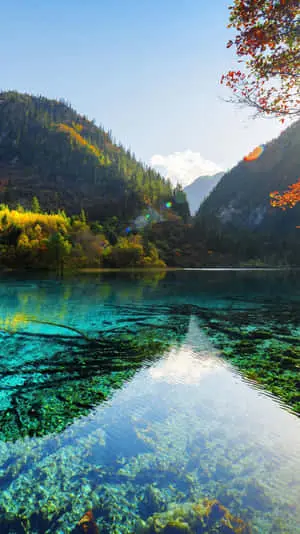 4k Nature Iphone Lake