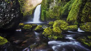 4k Nature Mossy Rocks