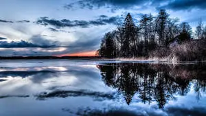 4K Ultra HD 2160p Tree Reflection