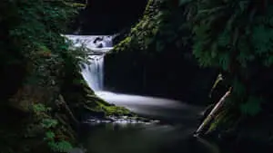 Nature's Beauty at its Best 