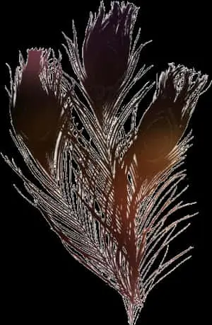 Abstract Feather Artwork