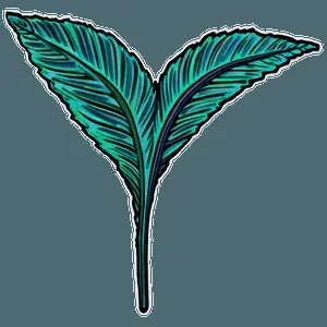 Abstract Leaf PNG xhi80