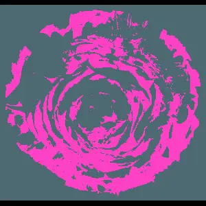 Abstract Pink Flower Silhouette