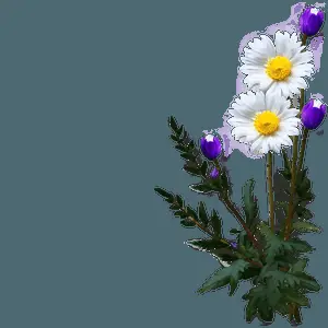 Aesthetic Flowers Background PNG 06282024
