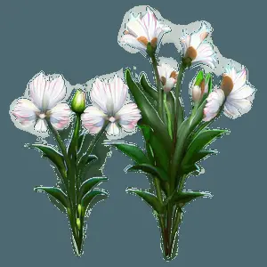 Aesthetic Garden Flowers PNG xof