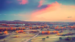 “Vibrant Sunset Over a Sea of Greenery” 