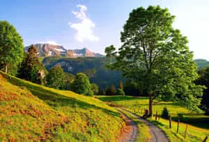 Enjoying the beauty of Mother Nature