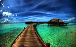 Aesthetic Nature With Beach Huts