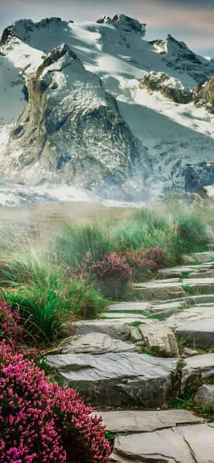 Aesthetic Nature With A Cracked Road