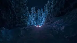 Aesthetic Nature With A Traveling Car