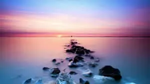 Capture the beauty of nature!