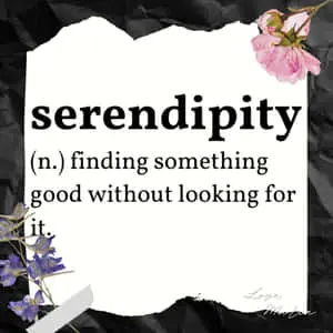 serendipitous n n finding something good without looking for it