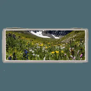 Alpine Wildflowers Panorama PNG tcl21
