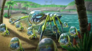 Araquanid And Baby Dewpiders