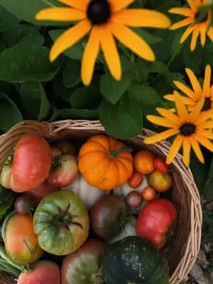 Autumn Bounty 2500 x 3333 wallpaper