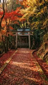 Autumn Path to Shrine