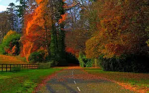 Autumn Streets Full Screen Hd Desktop