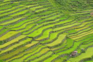 Banaue Rice Terraces In The Philippines Birds Eye View Shot