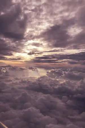 Enjoy the beauty of nature