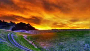 Take in a stunning view of the nature's beauty