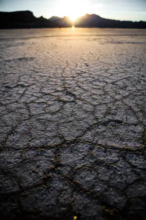 Beautiful Nature Dry Land