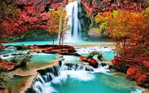 Beautiful Nature pictures