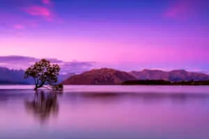 Beautiful Nature pictures