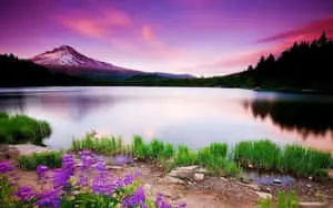 Beautiful Nature pictures