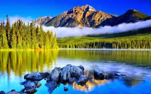 Beautiful Nature pictures